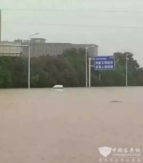 為何都在泡水，你卻能涉水而行！