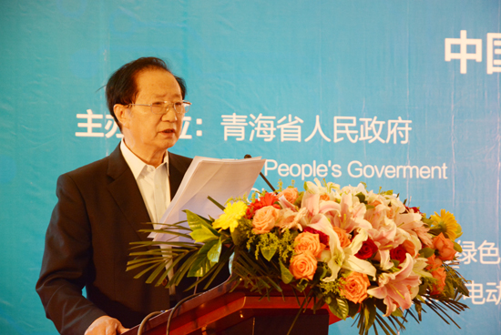 陳清泰：發(fā)展動力電池是長期戰(zhàn)略