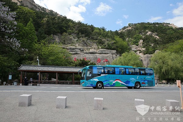 蘇州金龍 海格客車青島嶗山 中國(guó)旅行社總社