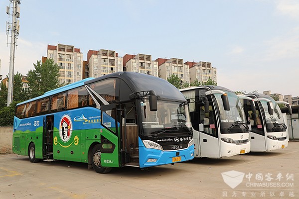 蘇州金龍 旅游客車 睿星車型 新川藏運(yùn)業(yè)