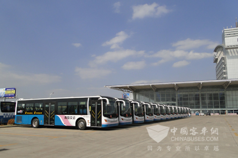 溫馨巴士停放整齊的中通陽光系列節能公交車