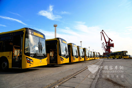 200多臺嶄新的金旅校車即將發往沙特