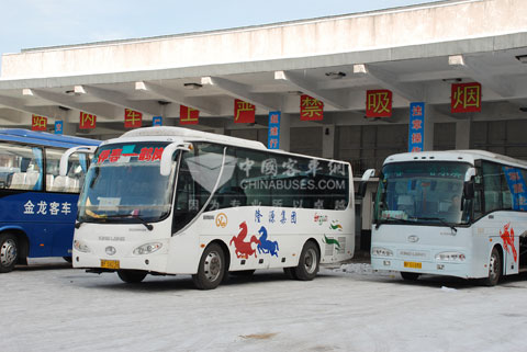 在伊春客運市場，許多車主都選擇用大金龍的車