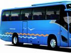 大金龍旅游團(tuán)體拳頭車型。XMQ6117外觀設(shè)計(jì)采用國際同步流行的曲線精致搭建——大弧面、流線型，飽滿而有張力。自上市以來，在市場(chǎng)上都有不俗表現(xiàn)，2009年更是保持佳績，銷售達(dá)到800多輛，銷售金額近4億，是當(dāng)之無愧的暢銷車型。