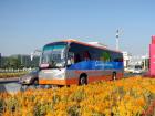 鮮花、笑臉、靚車相映成景