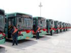天津313部大容量豪華新公交車投入運(yùn)營