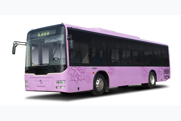 少林SLG6950C公交車(chē)（天然氣國(guó)五25-36座）