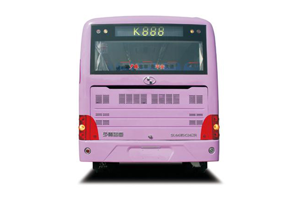 少林SLG6950C公交車(chē)（天然氣國(guó)五25-36座）