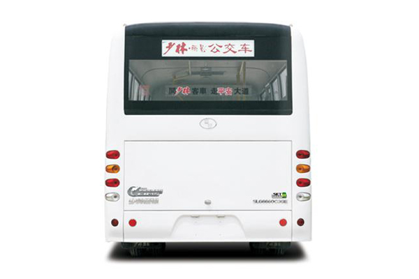 少林SLG6600T5GF公交車(chē)（天然氣國(guó)五10-19座）
