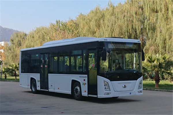 五龍F(tuán)DE6101PBABEV01低入口公交車（純電動17-36座）